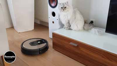 iRobot Roomba 980 review: Ideal for Pet Hair - HomePlix