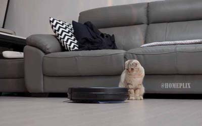 irobot-roomba805-review-featured