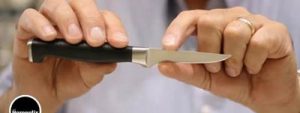 The 12 Best Paring Knife for Your Budget – Complete Guide & Reviews