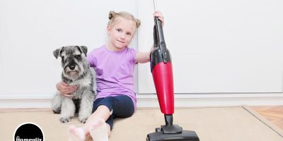 The 10 Best Vacuum Cleaners for Dog Hair That Wins You In 2021