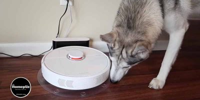 Watch These Funniest😍😍 Dog Vacuum Memes And Try To Stop Laughing😃😃