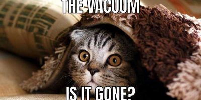 Funny Vacuum Cleaner Pictures May Be Sucked by Your Vacuum 😋 😋