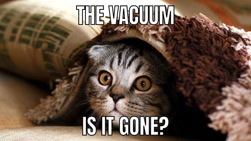 funny-vacuum-cleaner-pictures-800