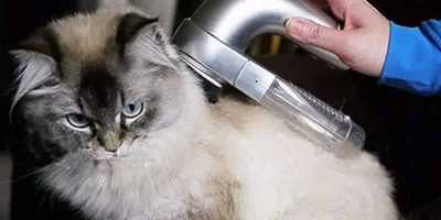 Top Rated Shed Pal Pet Fur Grooming Vacuum Cleaner
