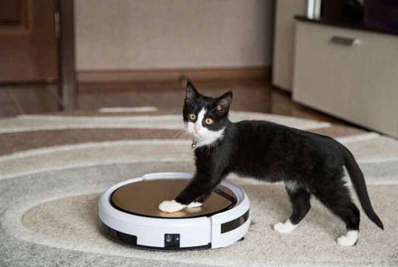 what-is-need-to-know-about-robot-vacuum-800