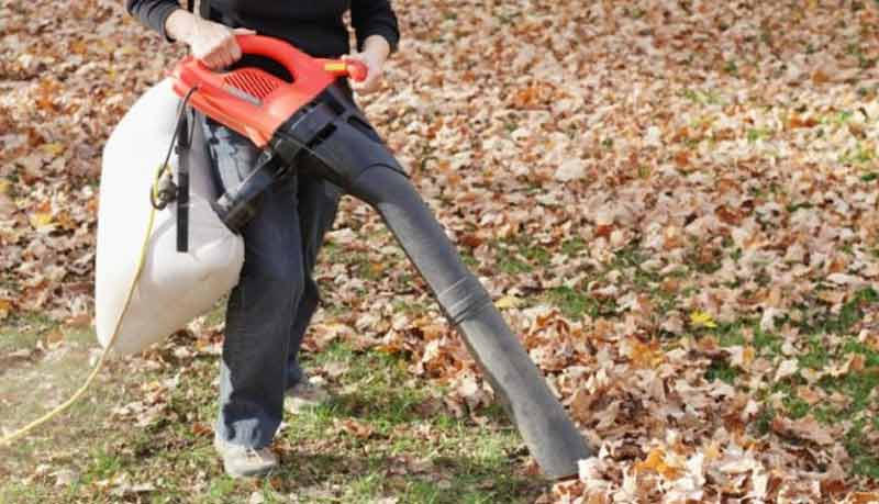 outdoor-vacuum-cleaner-for-leaves-800