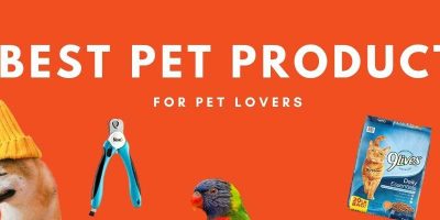 The Best Pet Products Shop For Pet Lovers In This 2021